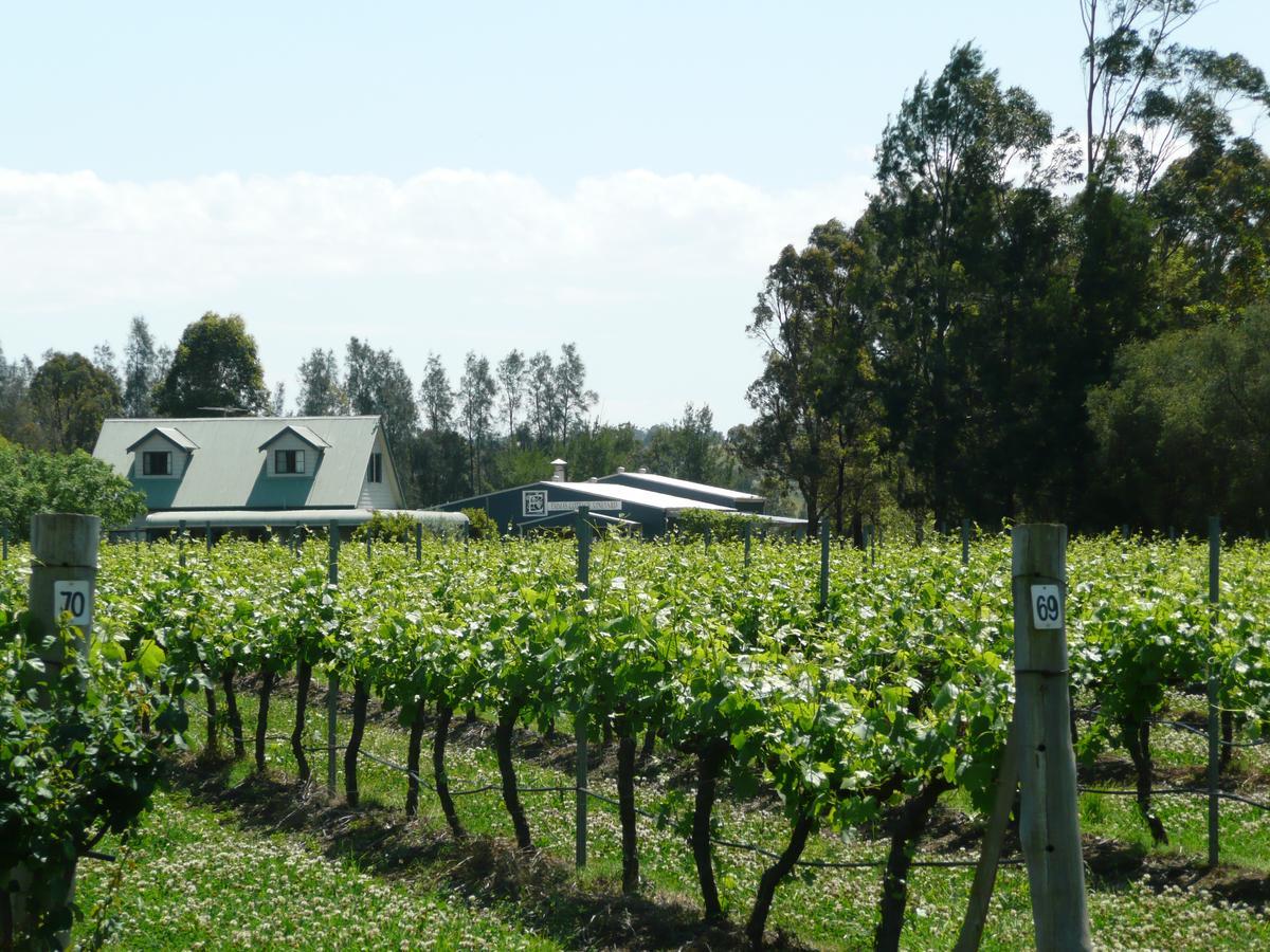 Emma'S Cottage Vineyard Lovedale Zewnętrze zdjęcie