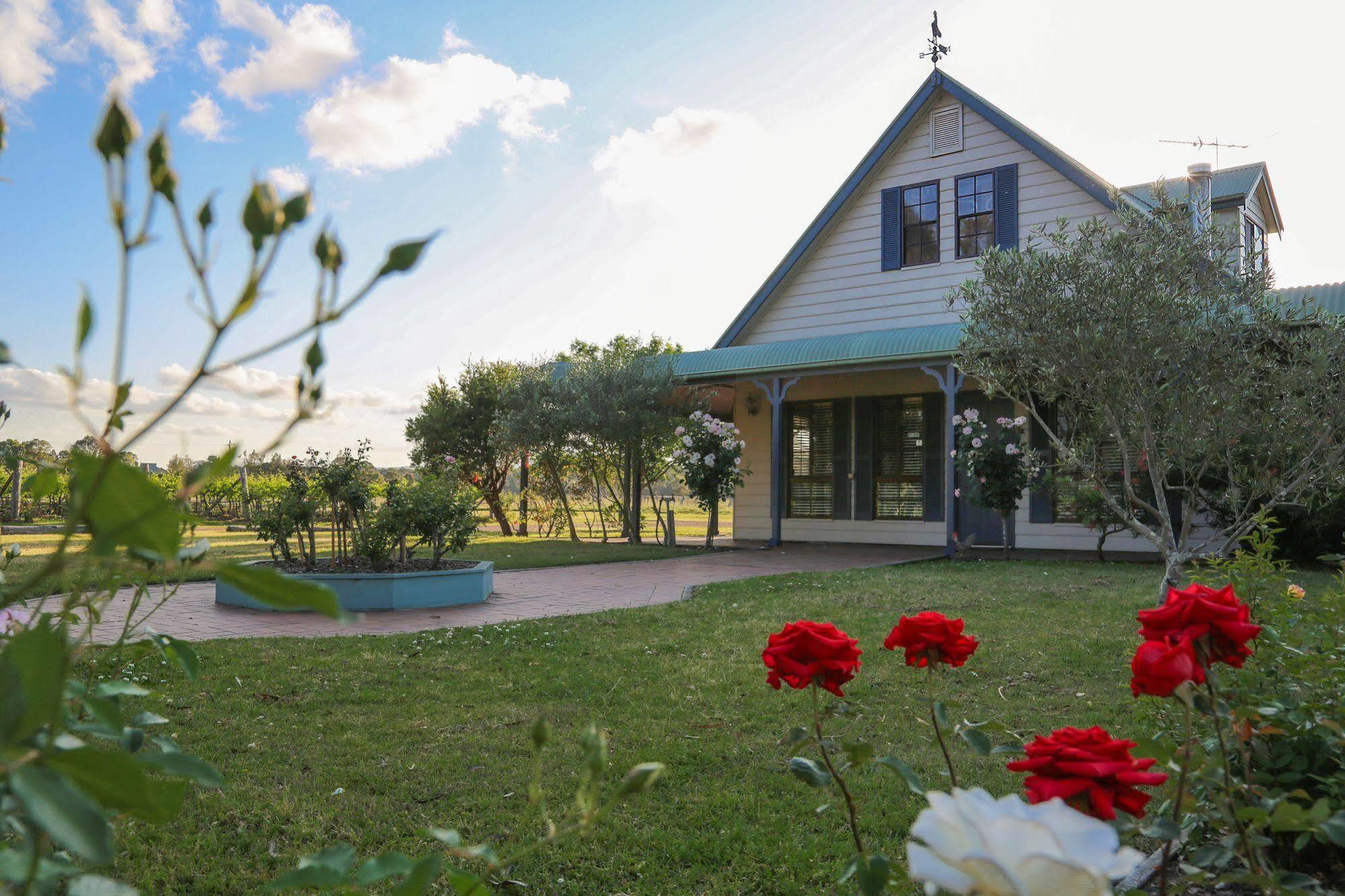 Emma'S Cottage Vineyard Lovedale Zewnętrze zdjęcie