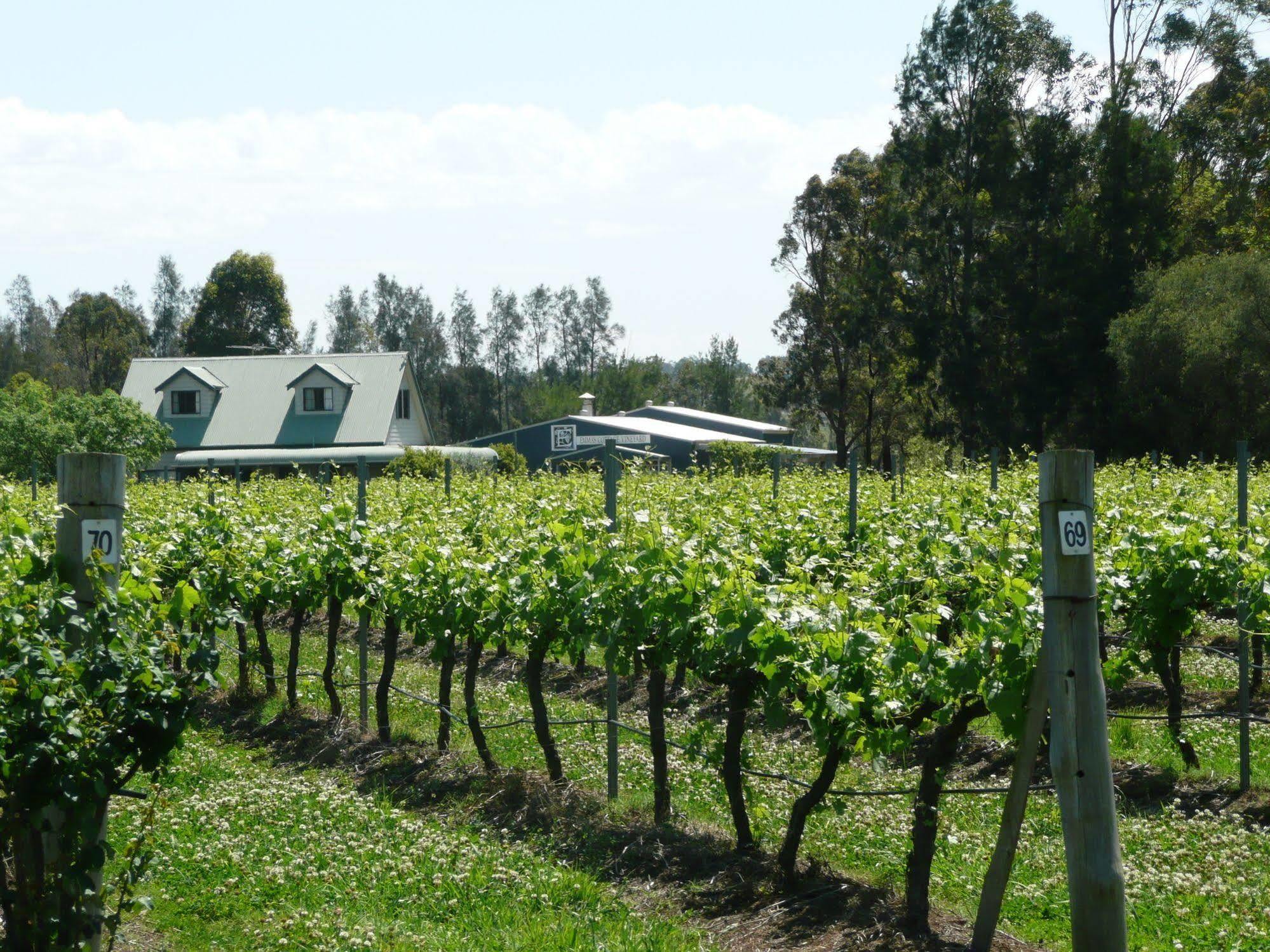 Emma'S Cottage Vineyard Lovedale Zewnętrze zdjęcie