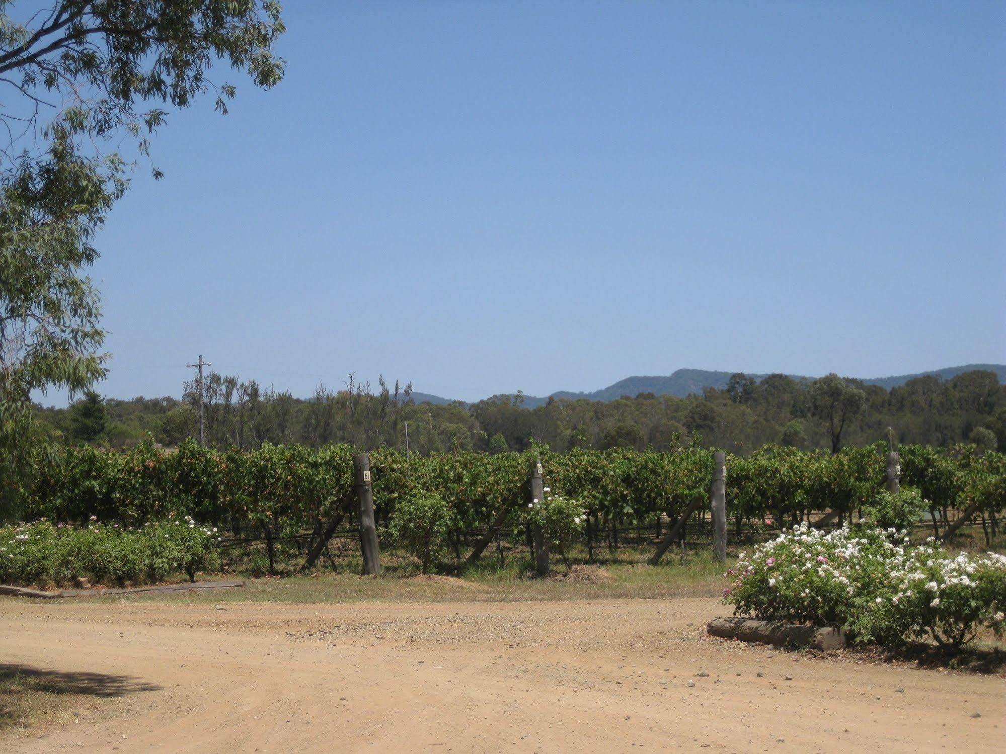 Emma'S Cottage Vineyard Lovedale Zewnętrze zdjęcie