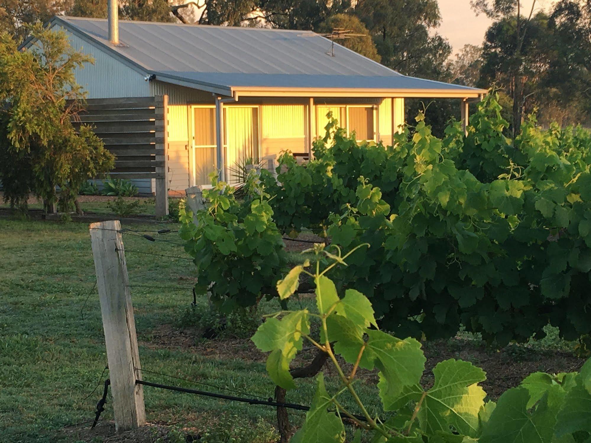 Emma'S Cottage Vineyard Lovedale Zewnętrze zdjęcie