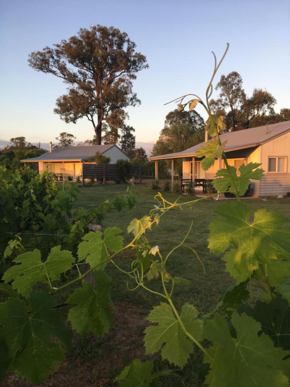Emma'S Cottage Vineyard Lovedale Zewnętrze zdjęcie